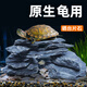 瘋狂水草烏龜曬臺石頭高水位爬臺造景曬臺石龜缸烏龜箱漂浮臺曬背石墊腳石 【兩斤】5-10cm