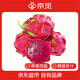 京覓 金都一號紅心火龍果 4.5斤單果400g+ 新鮮水果中秋送禮 源頭直發(fā)