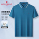 夢(mèng)特嬌（MONTAGUT）短袖Polo衫男夏季純色絲光棉抗菌翻領(lǐng)T恤涼感半袖 灰藍(lán) 2XL 
