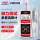 德力西電氣高斯計磁性磁力磁場(chǎng)強度檢測儀數顯磁力測試儀磁通量測試特斯拉計 【2級精度±2%】STW1045 官方標配
