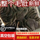 新食道毛肚新鮮整個【多地次日達】商用帶底板大葉片千層肚批發(fā)火鍋食材 整個大毛肚帶底板【凈重3斤】