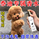 泰迪狗狗專(zhuān)用香水持久超香可舔泰迪去體味異味神器寵物除臭除味劑 單瓶【體驗裝】
