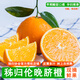 秭歸臍橙倫晚臍橙 當(dāng)季時令新鮮生鮮水果整箱橙子手剝橙孕婦寶寶春橙團購 順豐 9斤大果【精品果70mm+】