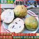 西雙版納傣族牛心果當季新鮮 牛心梨牛心番荔枝4斤裝罕見(jiàn)水果順豐 2斤