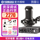 YAMAHA雅馬哈聲卡UR22C手機(jī)電腦直播K歌話筒套裝專業(yè)錄音配音有聲書設(shè)備 UR22C+鐵三角 AT2035 話筒套裝