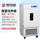 匠璃上海一恒生化培養(yǎng)箱實(shí)驗(yàn)室霉菌微生物電熱恒溫培養(yǎng)種子發(fā)芽催芽箱 MJ-70-I【數(shù)碼顯示】默物流自提