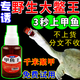 爆釣甲魚(yú)小釣甲魚(yú)餌料王八甲魚(yú)鉤誘餌小專(zhuān)用誘野釣誘老憋 1瓶裝【怕不夠用】不劃算