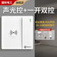 國際電工86型一開雙控聲光控感應(yīng)開關(guān)聲控開關(guān)加雙控樓道感應(yīng)開關(guān)延時開關(guān) 一開雙控帶聲控感應(yīng)【白色】