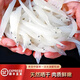 樂上禮江西特產(chǎn)銀魚干鄱陽小銀魚海鮮干貨淡水銀魚干銀魚禮盒 銀魚干【250克袋裝】