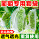 京厽葡萄套袋專(zhuān)用袋子防鳥(niǎo)紗網(wǎng)袋水果草莓陽(yáng)光玫瑰保護袋套袋 葡萄火龍果等20x30cm套袋20個(gè)中