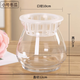 水培植物玻璃瓶 綠蘿花瓶花盆玻璃圓球水養(yǎng)魚缸器皿容器送定制欄 小號冬瓜 1個玻璃瓶+送定植藍