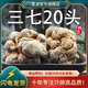 墨源三七中藥材云南文山正品三七根20頭田七新鮮生云三七非野生泡酒粉 【20頭三七】500克