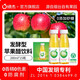 綠杰蘋(píng)果醋飲料280ml*15瓶整箱 發(fā)酵型蘋(píng)果醋0添加蔗糖0添加脂肪飲料