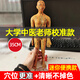 天岡制藥高清針灸穴位人體模型真人穴位經(jīng)絡(luò )全身圖小皮人模特十二小銅人中 【高清校準便攜版】35CM女銅色 硬膜穴位全標注準