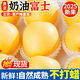奶油蘋(píng)果冰糖心爆甜牛奶蘋(píng)果黃金奶油富士蘋(píng)果現摘現發(fā)新鮮水果CC 3斤 中果精選【75-80mm】