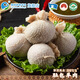 錫林郭勒羊肉 內(nèi)蒙古特產(chǎn)肚包肉羊肉腸 羊肉禮盒生鮮年貨禮盒小吃食材地標(biāo)認(rèn)證 肚包羊肉 1斤