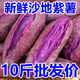 左格（ZUOGE）紫薯 精選10斤紫薯新鮮板栗紫薯地瓜蜜薯山芋煙薯香薯蔬菜農(nóng)家 人工精選紫薯 9-10斤裝