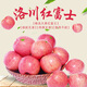 陜西洛川蘋果新鮮水果應(yīng)當(dāng)季整箱紅富士冰糖心一級(jí)脆甜現(xiàn)摘平安果 凈重4.5斤-單果80-85mm