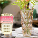 呂姆克花瓶玻璃客廳擺件花瓶插花水養(yǎng)大號(hào)玻璃花瓶北歐琥珀色高28cm8549