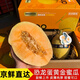 黃金網(wǎng)紋蜜瓜恐龍蛋哈密瓜冰糖甜瓜美人香瓜新鮮水果孕婦整箱禮盒 顆顆甄選-2顆【單果重3斤多】
