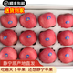 靜寧蘋(píng)果 【順豐到家】甘肅紅富士蘋(píng)果 現摘當季新鮮水果蘋(píng)果源頭直發(fā)包郵 12枚75中果精品禮盒裝