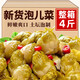 泡兒菜四川新鮮爽口觀音菜傳統(tǒng)腌制老壇子泡菜娃娃菜下飯菜咸菜 泡兒菜【500g*4袋】