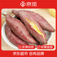 京覓臨安天目山小香薯 中果凈重5斤裝 單果重50-150g 源頭直發(fā) 包郵