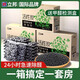 立邦活性炭除甲醛新房家用碳衣柜除甲醛去異味竹炭包吸甲醛清除劑 1kg【10包】10-20㎡帶1檢測盒 強效型除醛