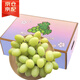 京滿(mǎn)隆澳洲進(jìn)口秋天脆青提 新鮮甜地球青提無(wú)籽葡萄當季孕婦水果整箱 精品青提 3斤 【無(wú)禮盒】