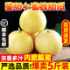 頭茬小蜜蜂甜瓜山東星甜20蜜罐甜瓜當(dāng)季現(xiàn)摘新鮮水果 4.5斤大果凈重6-9個【順豐包郵】 （小甜瓜品種 本身就長不太大）