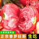 土地母親計(jì)劃 陜西涇陽(yáng)普羅旺斯西紅柿番茄生吃沙瓤番茄輕食 自然熟新鮮果蔬 凈重 4.5斤 中果13-16個(gè) 80%人選擇