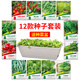 花沃里12款蔬菜種子大全（贈花盆）西紅柿黃瓜辣椒白菜菠菜香蔥豆角生菜