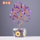 斤慕天然粉紫水晶黃水晶樹(shù)擺件五蘊(yùn)吉祥物辦公室桌面搖錢(qián)樹(shù)店鋪送禮 紫水晶12頭X9粒