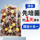 森森（SUNSUN）魚缸過濾材料細菌屋玻璃環(huán)生化球麥飯石水族濾材過濾用品 加強版10合1濾材1000g【贈水質(zhì)安定劑膠囊】