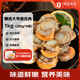 百年漁港渤海灣帶黃大號(hào)扇貝肉 2斤80-100粒 獨(dú)立分裝 火鍋 燒烤 海鮮水產(chǎn)