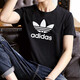 阿迪達(dá)斯 （adidas）官方艦店 三葉草短袖男裝夏季新款半袖運(yùn)動透氣圓領(lǐng)T恤GN3463 IA4815/黑色 經(jīng)典LOGO M