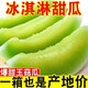 【低價冰襲】海南玉菇甜瓜10斤新鮮水果手撕蜜瓜正宗非哈密瓜 2斤【特惠嘗鮮】 實惠裝中果甜脆多汁清甜如蜜