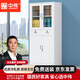 中偉（ZHONGWEI）儲物柜文件柜辦公鋼制鐵皮柜資料柜檔案柜中二斗文件柜（加厚款）