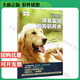 馴狗有方:簡易實用狗狗馴養(yǎng)術(shù)狗書籍訓(xùn)練狗狗的教程書訓(xùn)狗書籍養(yǎng)狗大全指南狗狗游戲大全狗狗心理學(xué) 訓(xùn)犬方法技巧書