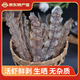 海鮮頌生曬皮皮蝦干蝦姑肉干海鮮干貨海產(chǎn)品熬粥炒菜食材年貨禮品年夜飯 250g