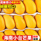 顧果鮮海南小臺(tái)芒9斤新鮮應(yīng)季當(dāng)季熱帶時(shí)令水果小臺(tái)農(nóng)芒果整箱甜心芒 9斤 【大果】