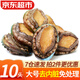 彈指鮮生新鮮熟凍大鮑魚三去免處理鮮活冷凍貝類去內(nèi)臟年貨節(jié)送禮凈重250g 9分熟凍堪比鮮活 10頭