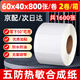 建卓五防熱敏標簽紙防水撕不爛合成紙60*40耐低溫不干膠打印紙生鮮冷凍食品貼紙 60*40*800張/卷 * 2卷