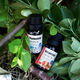ACHOTREE NATURAL ESSENTIAL OIL40款單方精油純植物純天然香薰助眠身體按摩刮痧護(hù)膚護(hù)發(fā)香水diy 買三送一[聯(lián)系客服選款] 10mL