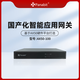 Panabit AX50-100企業(yè)級路由器(AX50C國產(chǎn)平臺)