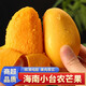 澤華果品海南小臺農(nóng)芒果核薄無絲熱帶當季新鮮水果 小臺農(nóng)芒果8斤單果70-140g