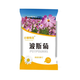 小鎮(zhèn)有花 矮桿波斯菊混色大花種子10克 陽臺(tái)盆栽花期長易播種