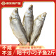鄂峰 翹嘴魚(yú)大白刁 白魚(yú)武昌魚(yú)湖北特產(chǎn)咸魚(yú)腌魚(yú)風(fēng)干小刁子魚(yú)整條年貨 陽(yáng)干小刁子魚(yú)250g*4袋