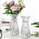 盛世泰堡 花瓶插花水養玻璃花瓶仿真花玫瑰鮮花插花水培容器客廳裝飾擺件