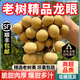 三萌果蔬廣東石峽儲(chǔ)良龍眼【順豐冷鏈-多地隔日達(dá)】當(dāng)季老樹(shù)新鮮水果送禮 3斤精選【石峽龍眼】     凈2.5斤 新鮮【30年老樹(shù)龍眼】現(xiàn)摘現(xiàn)發(fā)